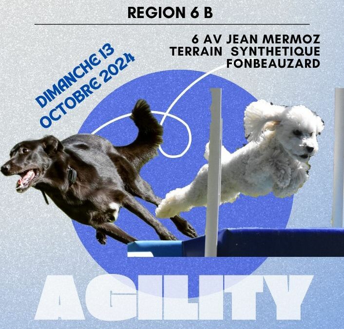 Retour sur une journée d’agility mémorable !